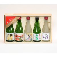 【期間限定】【送料込】　飲みきり5本セット