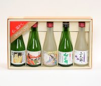 【期間限定】【送料込】　飲みきり5本セット